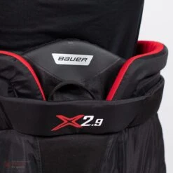 Bauer Vapor X2.9 Senior Goalie Pants -Bauer Shop bauer goalie pants bauer vapor x2 9 senior goalie pants 5496832557122