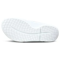 Bauer OOFOS OOAHH Sport Flex Sandals -Bauer Shop bauer sandals bauer oofos ooahh sport flex sandals 29220164665410